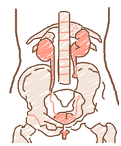 atopy_img02.png